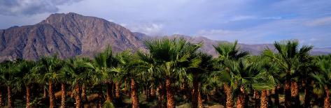 borrego springs chatrooms Welcome to borrego springs resort golf club & spa, a pet-friendly luxury resort located in the beautiful anza-borrego desert state park. borrego springs chatrooms Welcome to borrego springs resort golf club & spa, a pet-friendly luxury resort located in the beautiful anza-borrego desert state park.