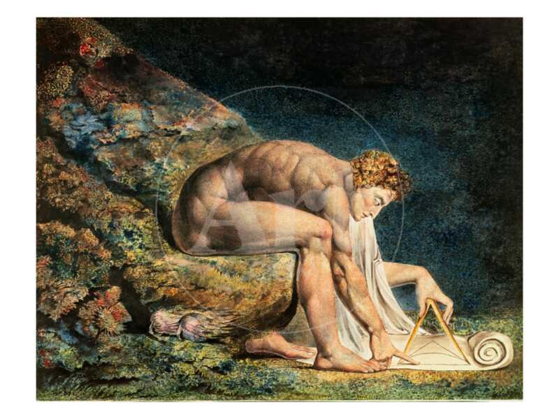 Newton - Giclee Print