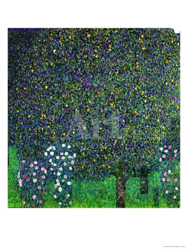 Roses Under the Trees, circa 1905