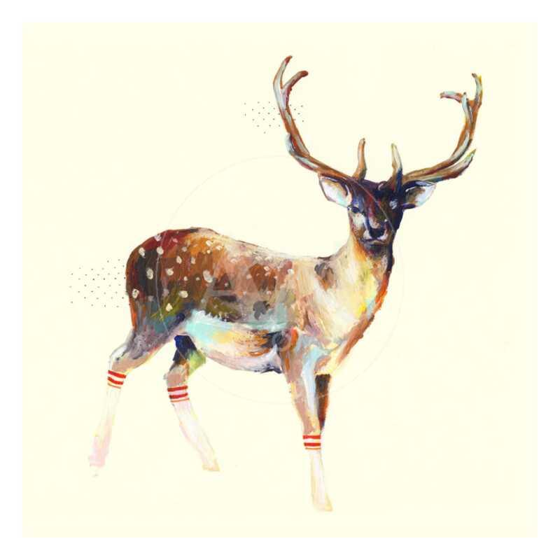 Deer Wearing Gym Socks