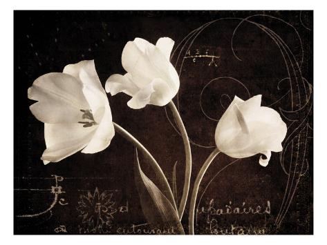 Garden Love