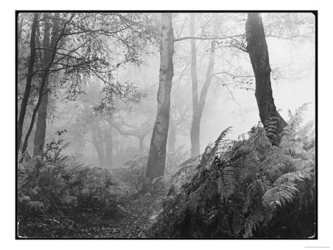 Esher England
