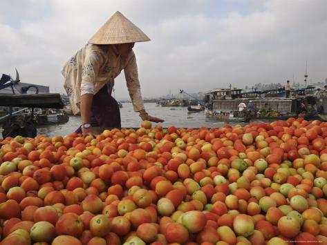 Mekong+delta+floating+market