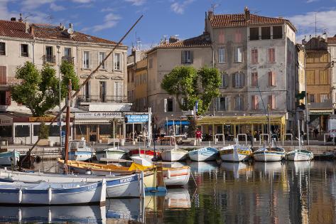 chat la ciotat