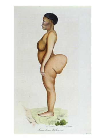 carel-christian-anthony-last-the-hottentot-venus-bushman-woman-from-l-histoire-naturelle-des-mammiferes-_i-G-15-1502-85DBD00Z.jpg