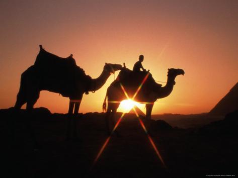 Egyptian Pyramid Backgrounds