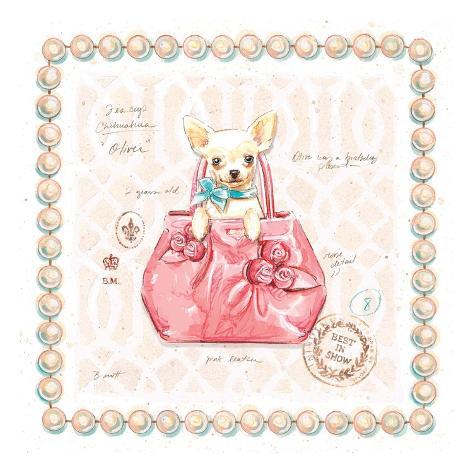 Chihuahuas In Purses