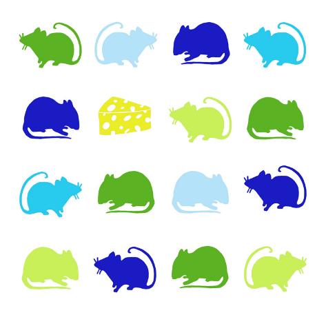 Animal Sudoku