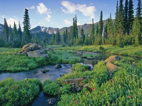 Mountain Basin