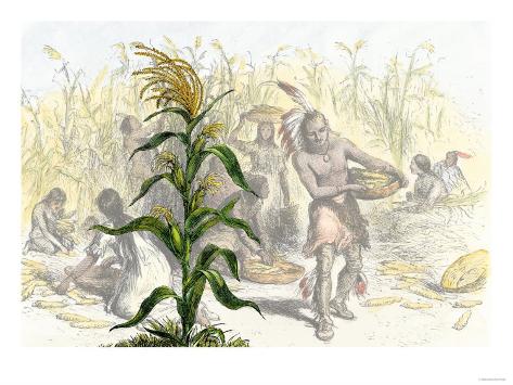 american staple food