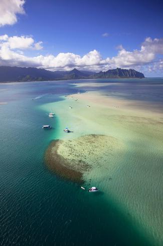 kaneohe chat Find cheap fares for flights from barra colorado to kaneohe bay on tripcom and win big giveaways with #trip service chat account & bookings download the app . kaneohe chat Find cheap fares for flights from barra colorado to kaneohe bay on tripcom and win big giveaways with #trip service chat account & bookings download the app .