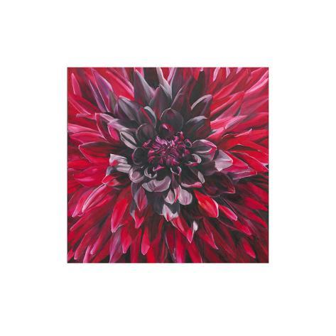 Black Wizard Dahlia