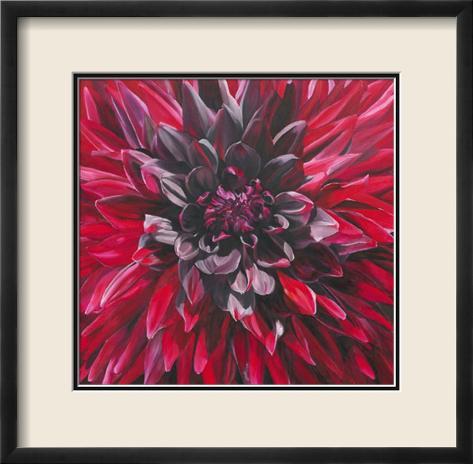 Black Wizard Dahlia