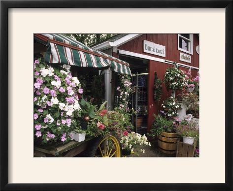 Flower Delivery Long Island on Farm Stand In Red Barn With Flowers  Long Island  New York  Usa Framed