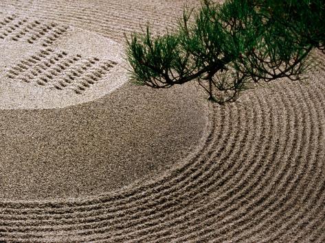 Frank Zen