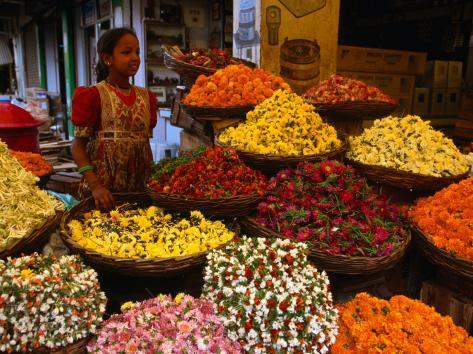 chichicastenango chat rooms Go beyond: the chichicastenango market so step inside for a chat, and even learn about all about your mayan astrological sign splurge: hotel santo tomas has double rooms for $128 /£83, the maya inn for $160/£103. chichicastenango chat rooms Go beyond: the chichicastenango market so step inside for a chat, and even learn about all about your mayan astrological sign splurge: hotel santo tomas has double rooms for $128 /£83, the maya inn for $160/£103.