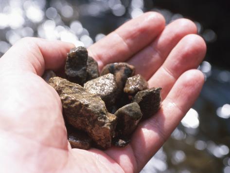 hand-holding-wet-rocks-from-stream-in-na