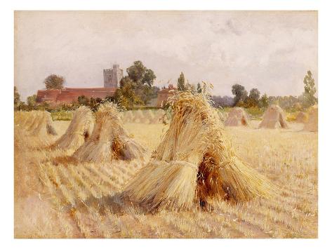 Corn Stooks