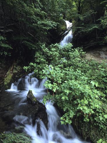 Cascada Park