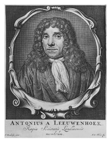 Z Anton