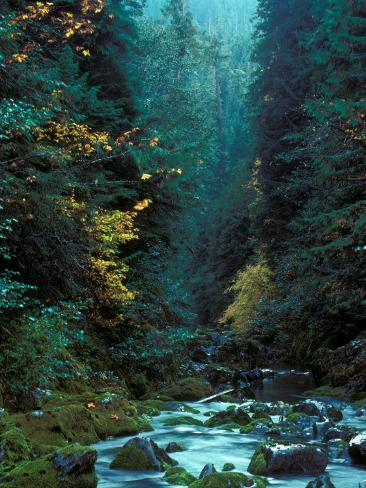Central Oregon Cascades