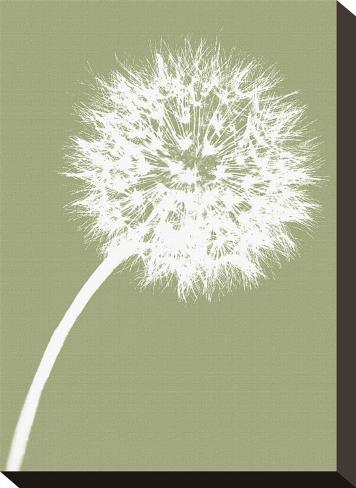 dandelion canvas print
