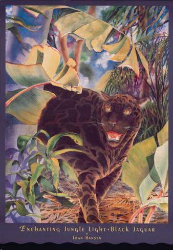 black jaguar print