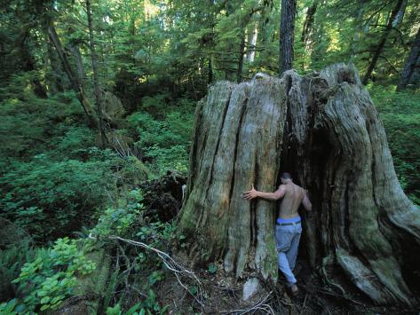 Stump Man