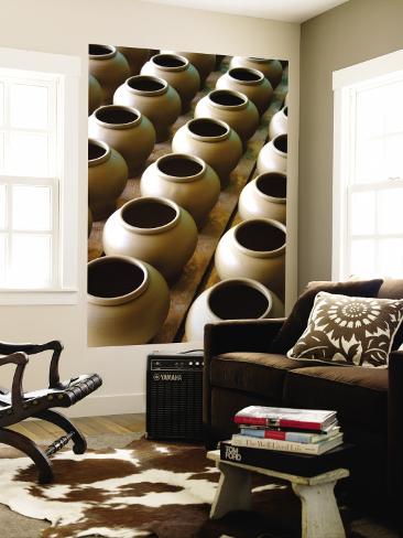 Clay Wall Murals
