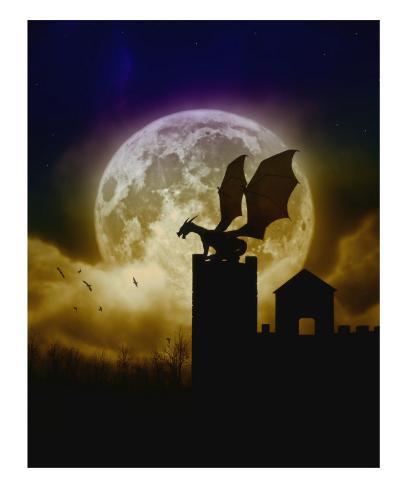 Castle Guardian