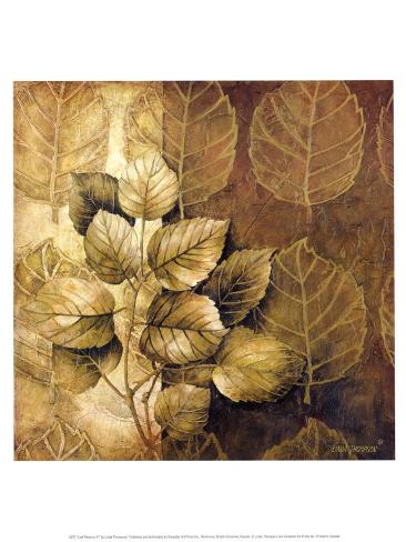 Leaf Patterns Photographic Print by Mattias Klum at Art.com