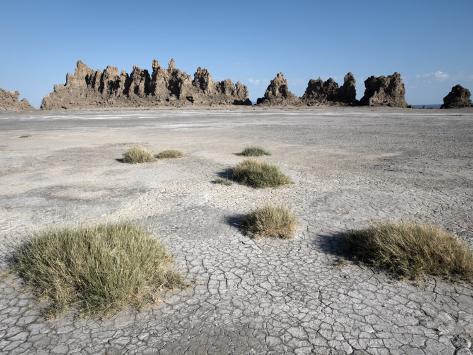 mcconnell-andrew-desolate-landscape-of-lac-abbe-dotted-with-limestone-chimneys-djibouti-africa_i-G-38-3832-E72YF00Z.jpg