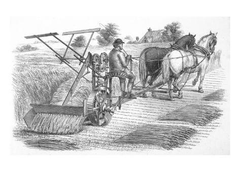 horse drawn reaper
