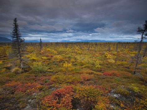 Tundra Mine