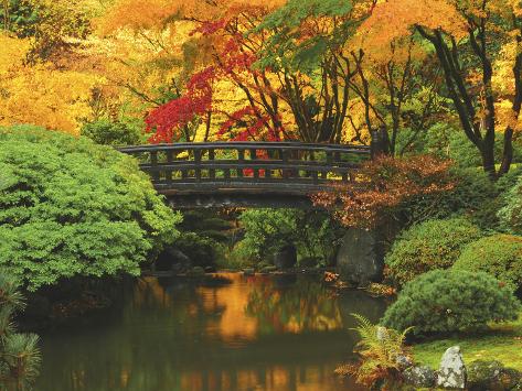 Moon Bridge in Autumn: Portland Japanese Garden, Portland, Oregon, USA Photographic Print