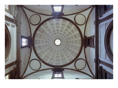 Cupola Anatomy