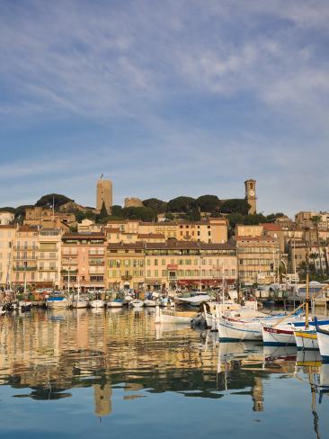 chat le port