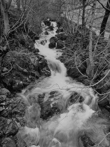 Gentle River
