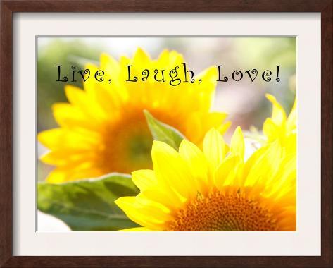 Live Laugh Love Picture Frame on Live Laugh Love  Sunflower Framed Print
