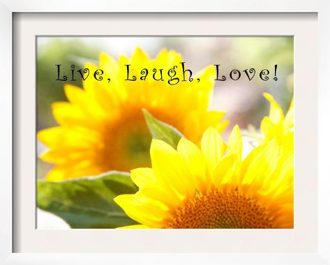 Live Love Laugh Picture Frames on Live Laugh Love Sunflower Framed Print
