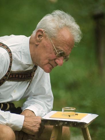 Karl Von Frisch