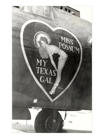 Nose   on Nose Art  Miss Possum  Pin Up Giclee Print At Art Com