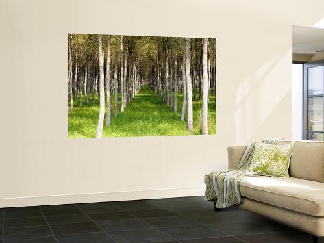 willow wall art