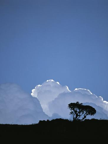 Cumulus Cloud Symbol