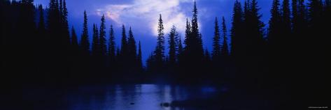 panoramic-images-silhouette-of-trees-in-