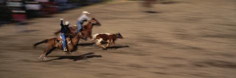 Roping A Cow