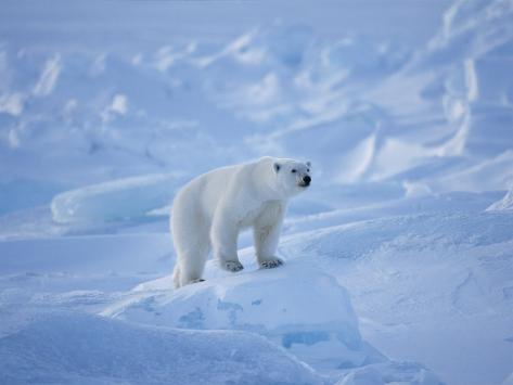 Rough Ice