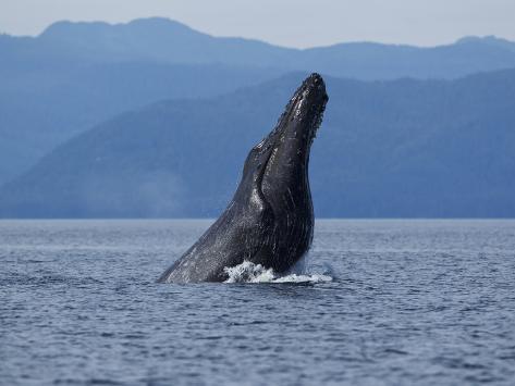 angoon chat rooms Find the latest news, crime, weather, business and community information from juneauempirecom and the juneau empire. angoon chat rooms Find the latest news, crime, weather, business and community information from juneauempirecom and the juneau empire.