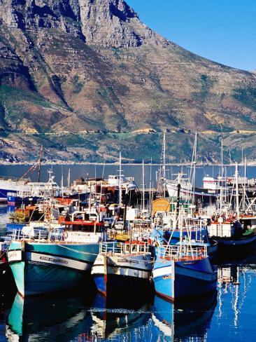 Fishing Boats in Hout Bay Marina, Cape Town, South Africa Photographic Fishing Boats in Hout Bay Marina, Cape Town, South Africa Photographic