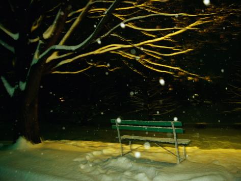 bench at night